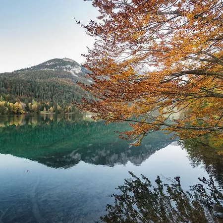 Grosse Fewo Scheffau * Scheffau am Wilden Kaiser