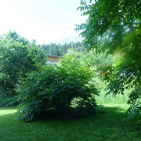 Grosse Fewo Scheffau Appartement *