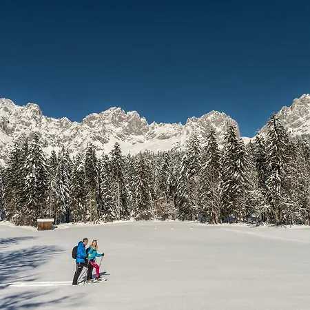 Grosse Fewo Scheffau * Scheffau am Wilden Kaiser