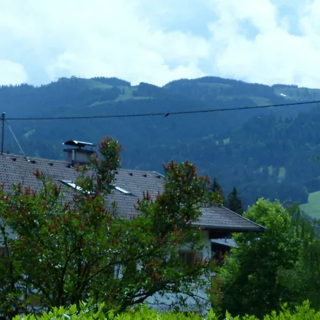 Grosse Fewo Scheffau Apartamento Scheffau am Wilden Kaiser