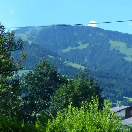 Große Fewo Scheffau