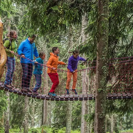 Große Fewo Scheffau *