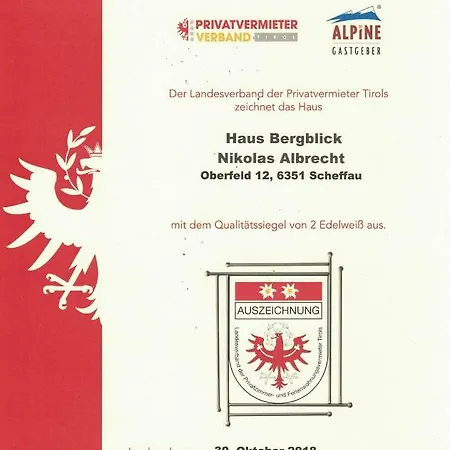 Große Fewo Scheffau Apartment